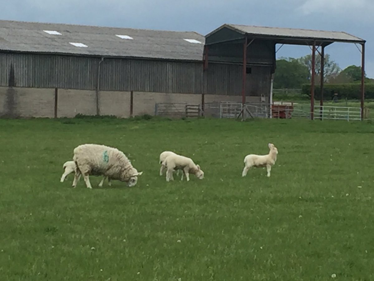 Thanks to the Lads ⁦<a href="/enterprisecares/">EnterpriseRentACar</a>⁩ Birmingham Airport for making my #BankHolidayWeekend fab buy sprucing up my <a href="/EnterpriseCarC/">Enterprise Car Club</a>⁩ club car before our country walk. Your Awesome.