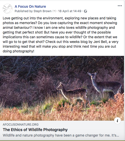 AFONature's tweet photo. Have a passion in nature or wildlife & want to share with a wider audience? Our blog of the week feature is all out of blogs - so we need you! For more information, email: socialmedia@afocusonnature.org
#Blog #Writer #Nature #ShortArticle #Passion
@NewNature_Mag @UKNHB https://t.co/KK6c8xNVax