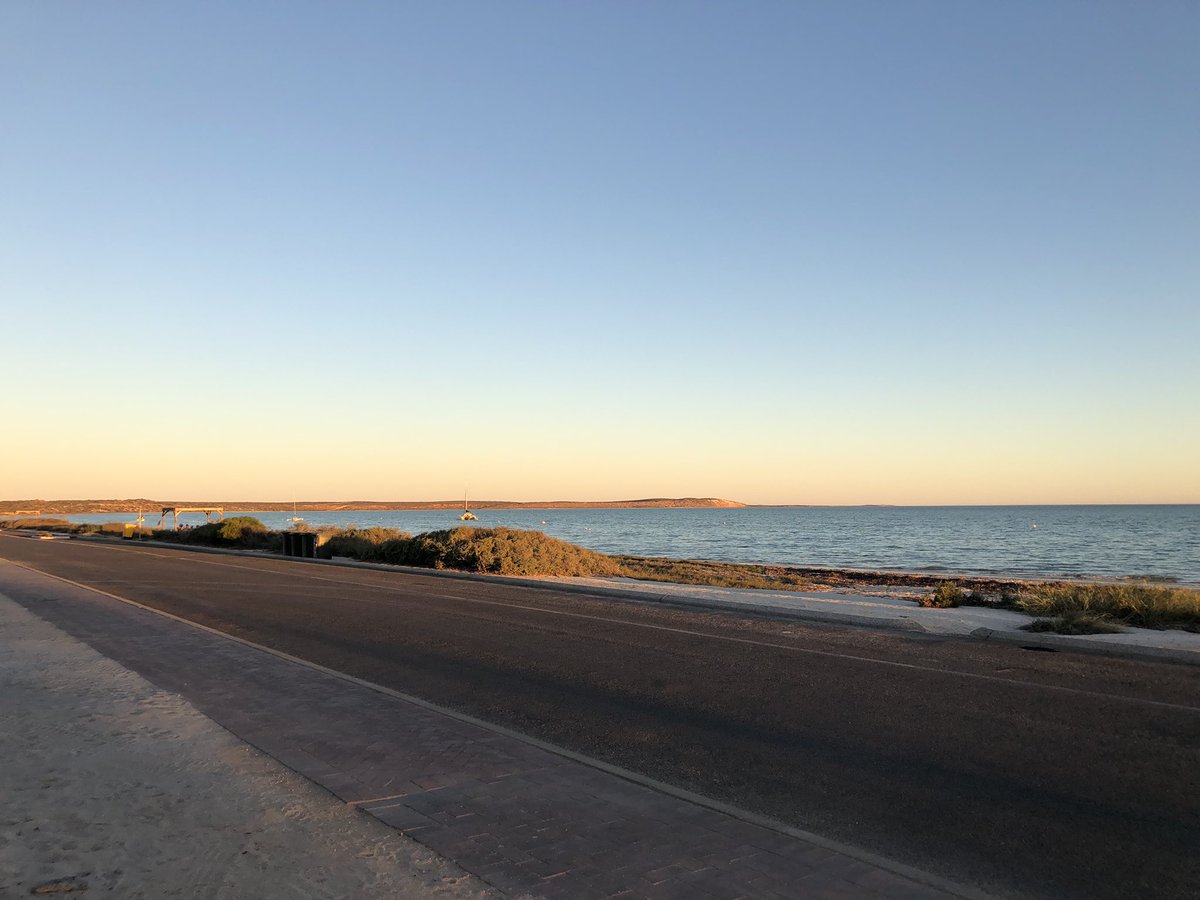 Margie186's tweet photo. 2 cars, 4 adults, 2 toddlers, 815kms, 3 stops, 10 hours. No tantrums! ๐๐ผ #DenhamWA https://t.co/gBJSQ9aLb2