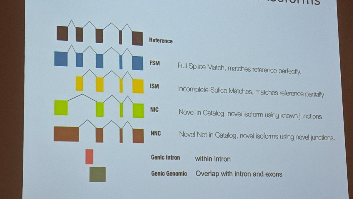 MakovaLab's tweet image. Ana Conesa #SMRTLeiden talks about #isoform classification suggested by @Magdoll