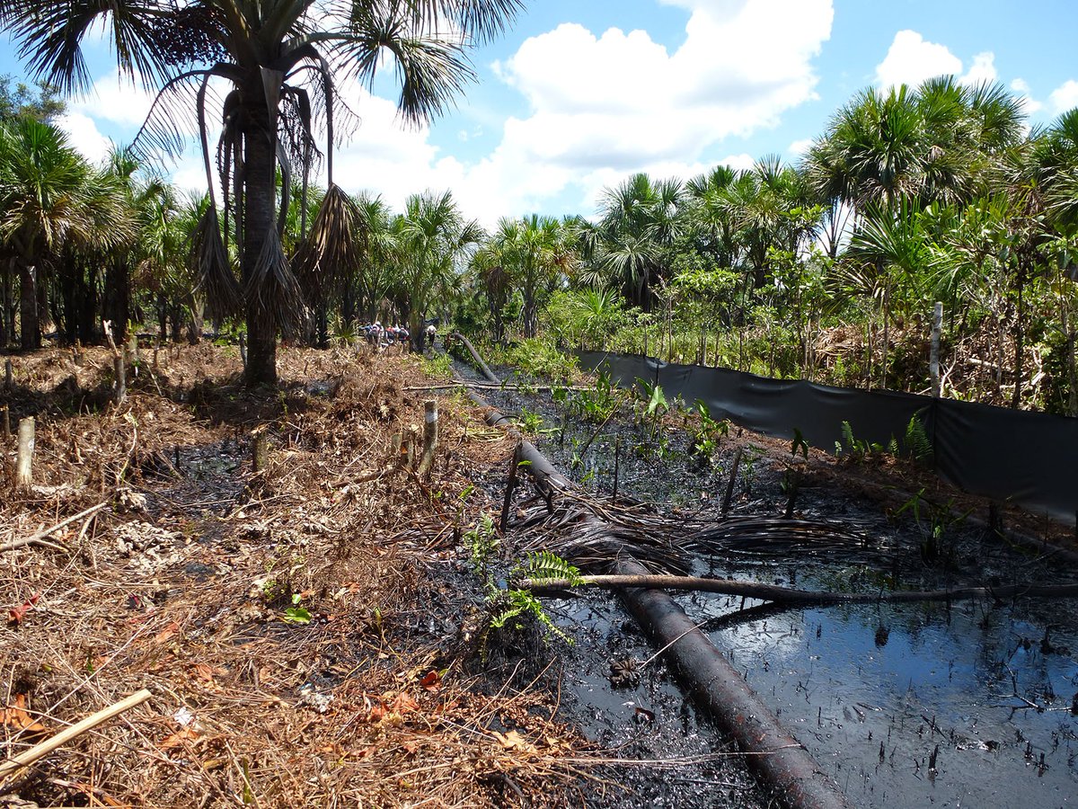 Vandals cause 8,000 barrels of oil to spill in Peruvian Amazon dlvr.it/R4MF7d