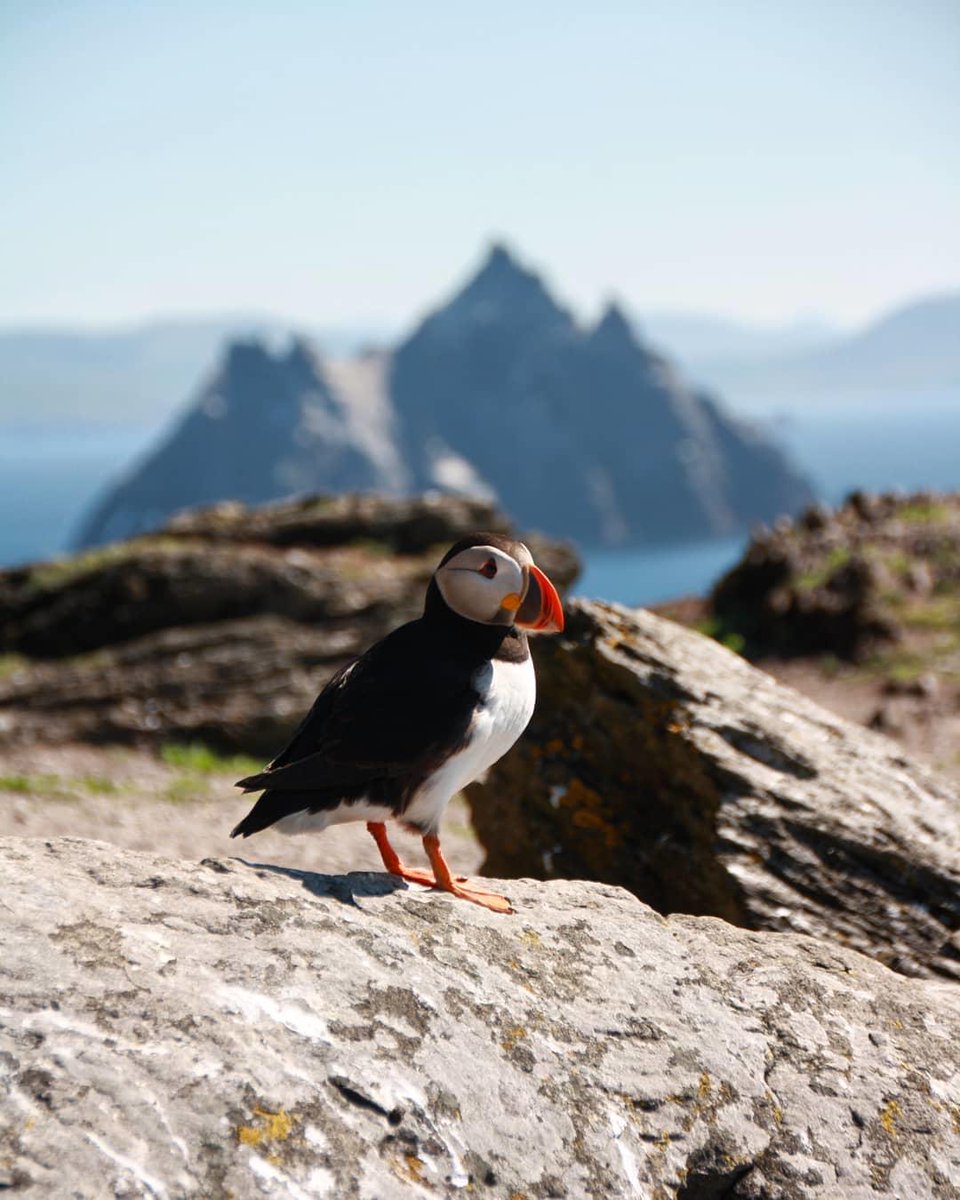 Safe travels to all #StarWars fans still making the intergalactic journey home after the long weekend! Until next year, #MayThe4thBeWithYou! ✨

📸 captured_in_kerry [IG]
#WildAtlanticWay