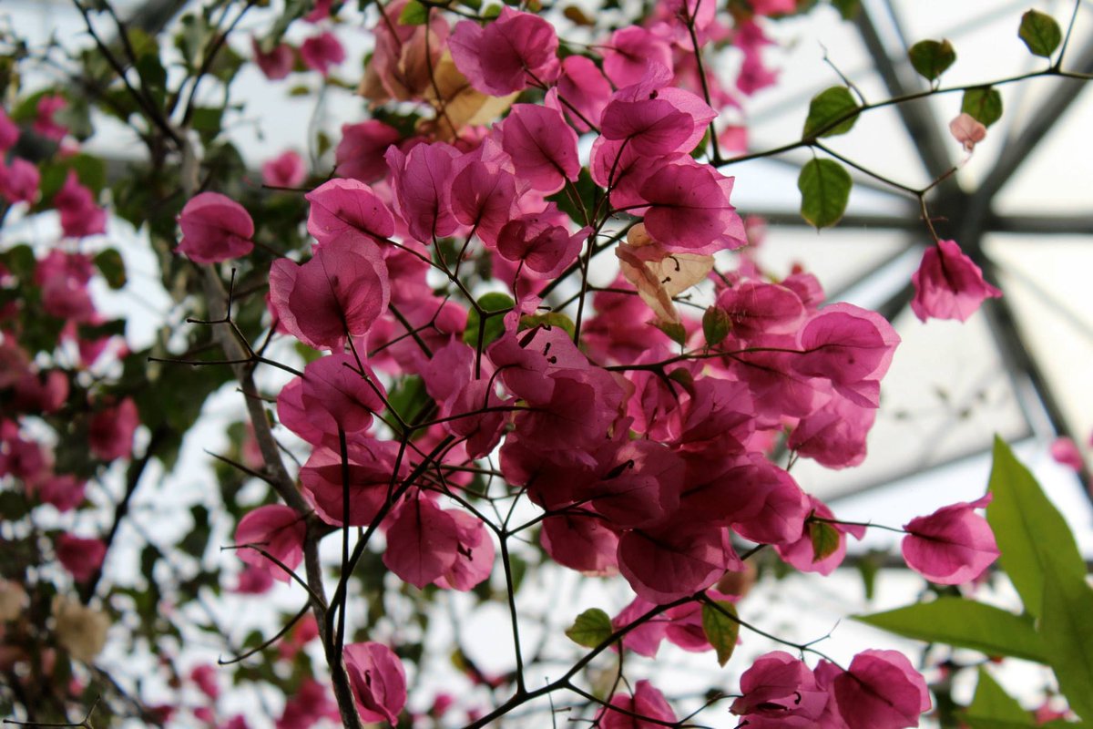 Holly Da Silva 🌼 tweet media