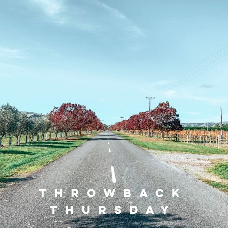 Afven2's tweet photo. #Throwback to the weekend just been when we spent the day in #Martinborough, New Zealand. Such a beautiful spot at this time of the year. The trees are purple, the vines are orange and the wine is rosé 🧡
#afven #autumn #tbt #throwbackthursday https://t.co/qZ8Fm3tze4