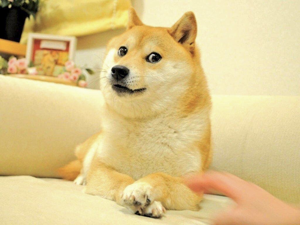 ジョーズ シージの犬チャームって元ネタあったんだ ジョーズ シージの犬チャームって元ネタあったんだ