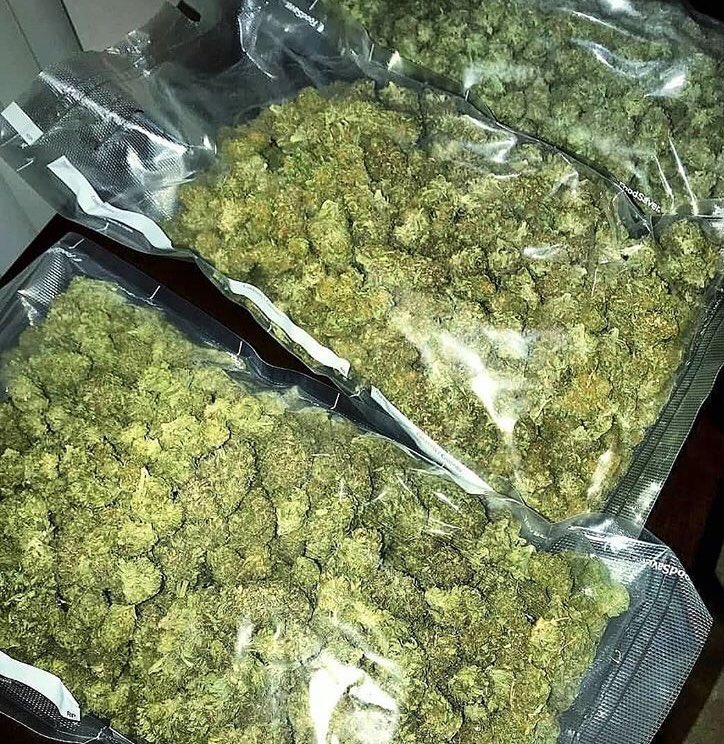 ParisWeed's tweet photo. Que du lourd ojd venez dm 🍁 https://t.co/hd9OMFlab7