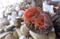 Graphickh1's tweet image. បាតុភូតធម្មជាតិដ៏ចម្លែកៗបំផុតទាំង 17 នៅជុំវិញពិភពលោក api.tnaot.com/article/galler…