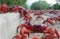 Graphickh1's tweet image. បាតុភូតធម្មជាតិដ៏ចម្លែកៗបំផុតទាំង 17 នៅជុំវិញពិភពលោក api.tnaot.com/article/galler…