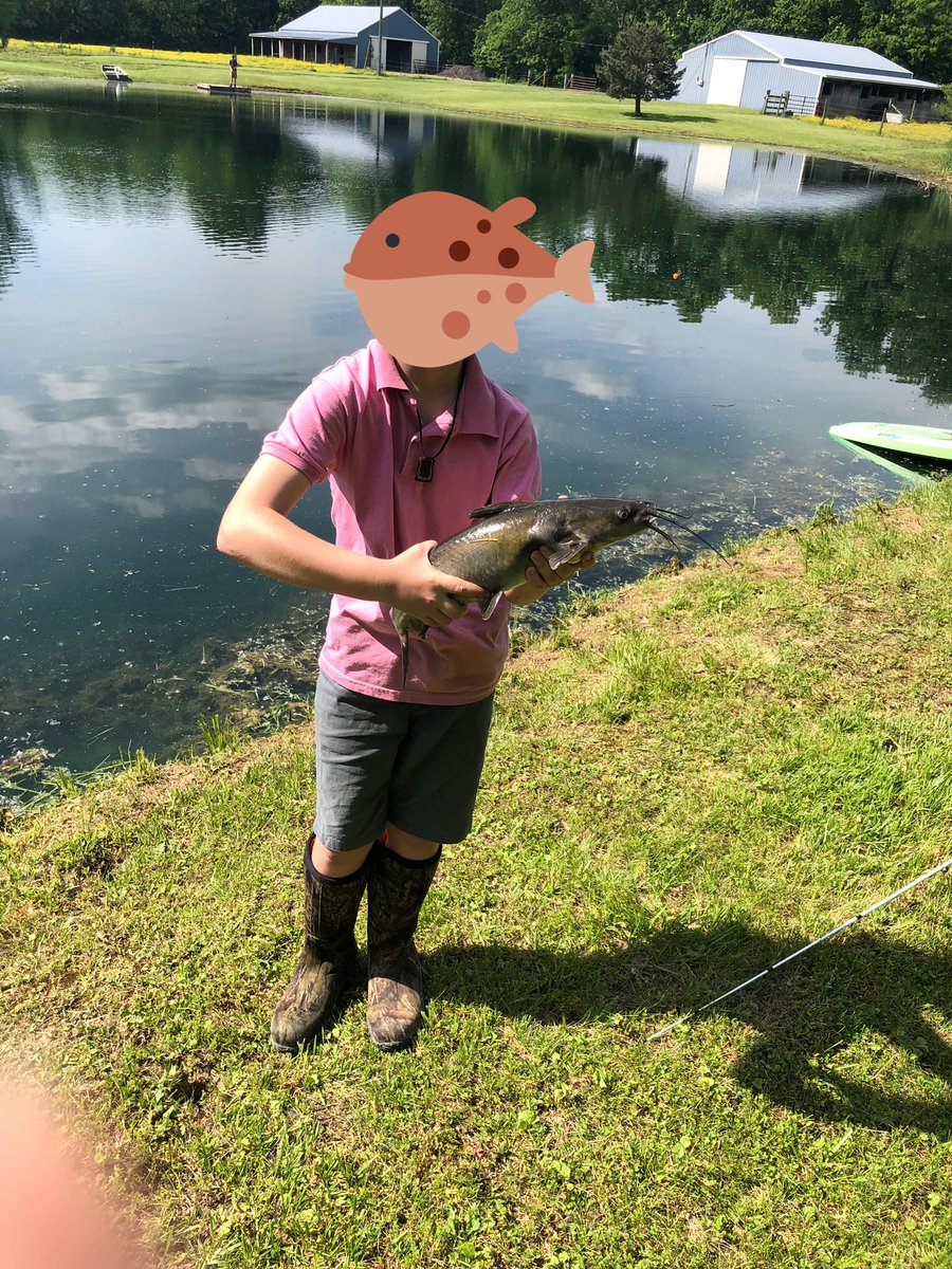 FishingBoston's tweet photo. Big catfish caught yesterday and a good size bluegill.  #bostonrocks https://t.co/lt39dd1ONA