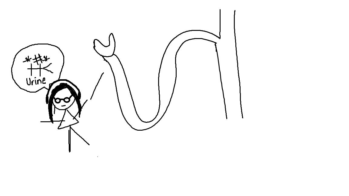 Irma Husain tweet media