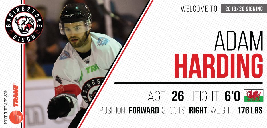 Basingstoke Bison tweet media