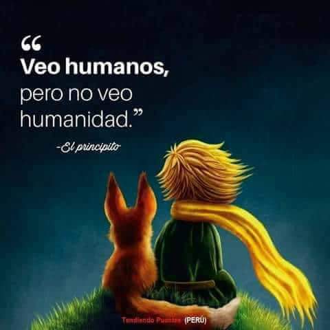 MariaCh55848631's tweet photo. Asi es Muy Triste Buenos días https://t.co/zkb2gFeeD8