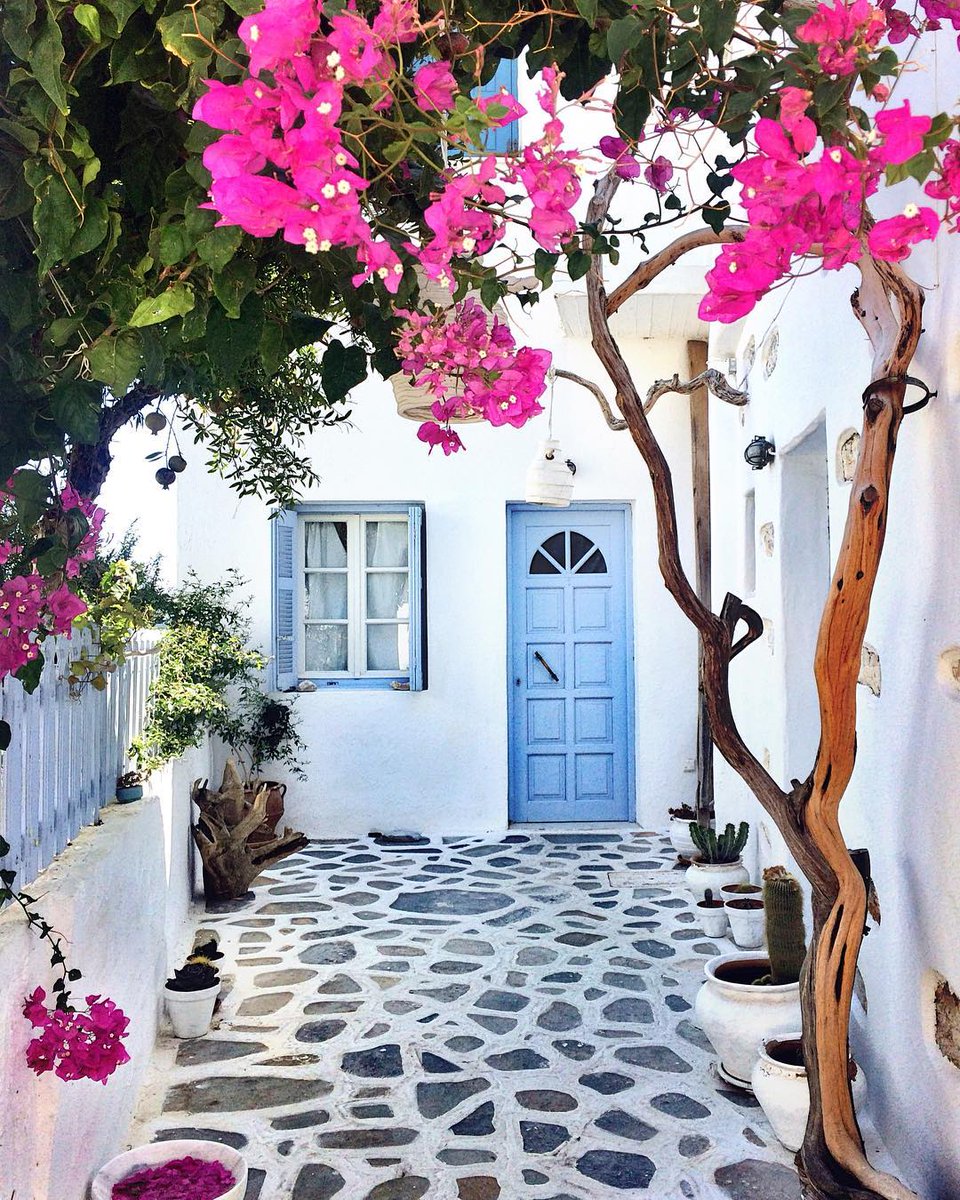 🌸 Beauty in Simplicity 🌸
You’re in #Koufonisia, the ultimate summer holiday destination in the heart 💙of the Cyclades! #AegeanLikeNoOther | #RegionOfSouthAegean

📸 @ victorakiii (via IG) 🙌