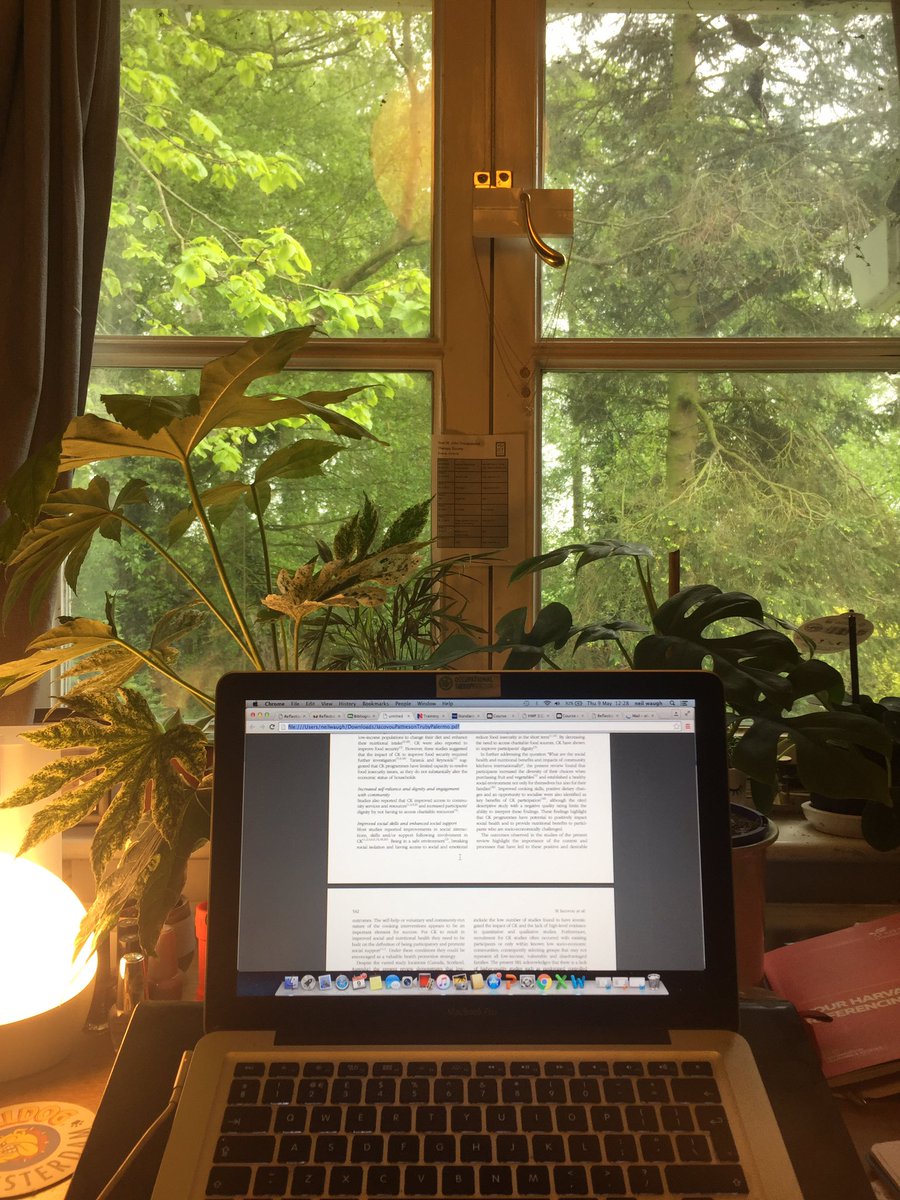 EliseVassie's tweet photo. Some might say I’ve gone overboard with the plants, but I love it 🤸🏿‍♂️ #Assignment #Oxygen #Plantlyf https://t.co/kiIkjplzVw
