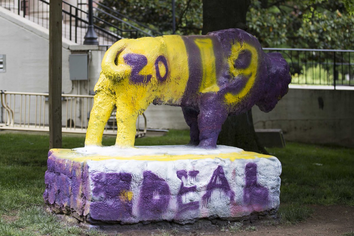 lipscomb's tweet image. Through innovative and creative solutions, we seek to meet the needs of all of our students to prepare them for lives filled with confidence, deep knowledge and faith. Learn more about @LipscombIDEAL:     lipscomb.edu/academics/unde…