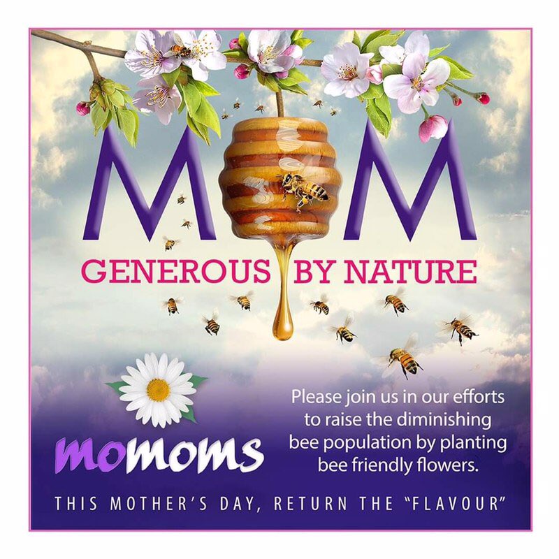 Momos at the Market tweet media