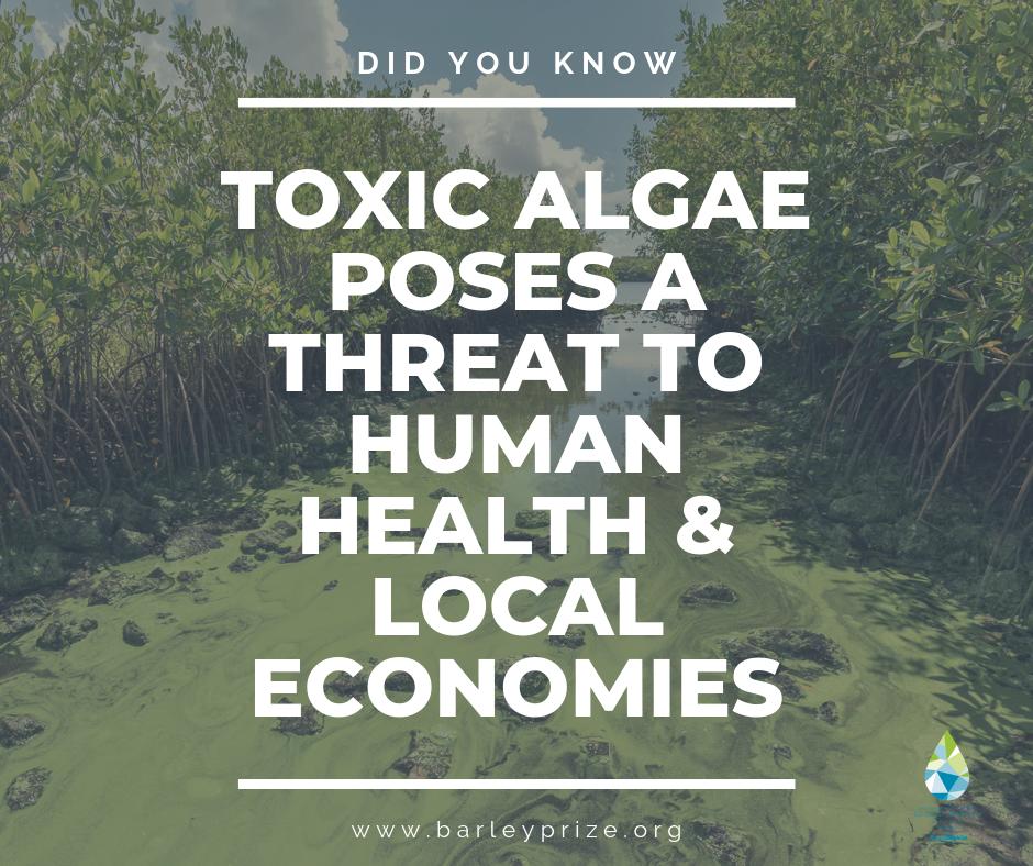 Barley Prize tweet media