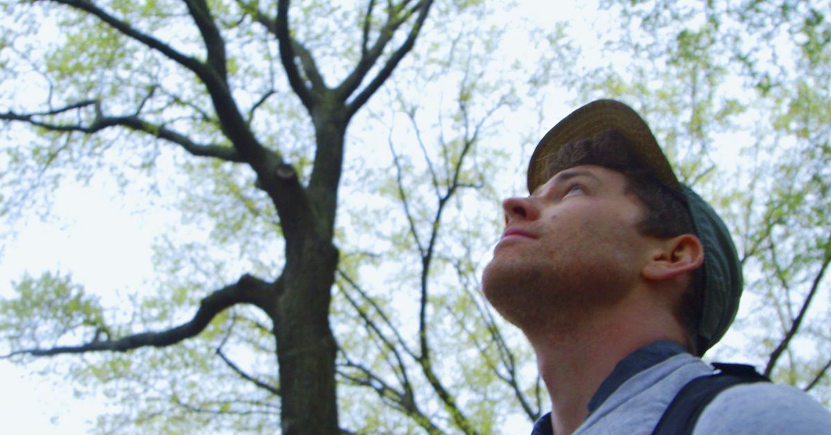 Why @NASA wants you to point your smartphone at #trees...