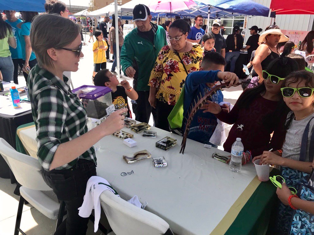 CSUSystem's tweet photo. Last Saturday, the @CSUBugZoo ventured south for Swansea Elementary School's annual Spring Festival to educate and inspire north Denver students and families with its AMAZING bug collection! π
Thanks to all who joined us for some fun in the βοΈ.
#ThrowbackThursday | #CSUDenver https://t.co/htGS6uQoLV
