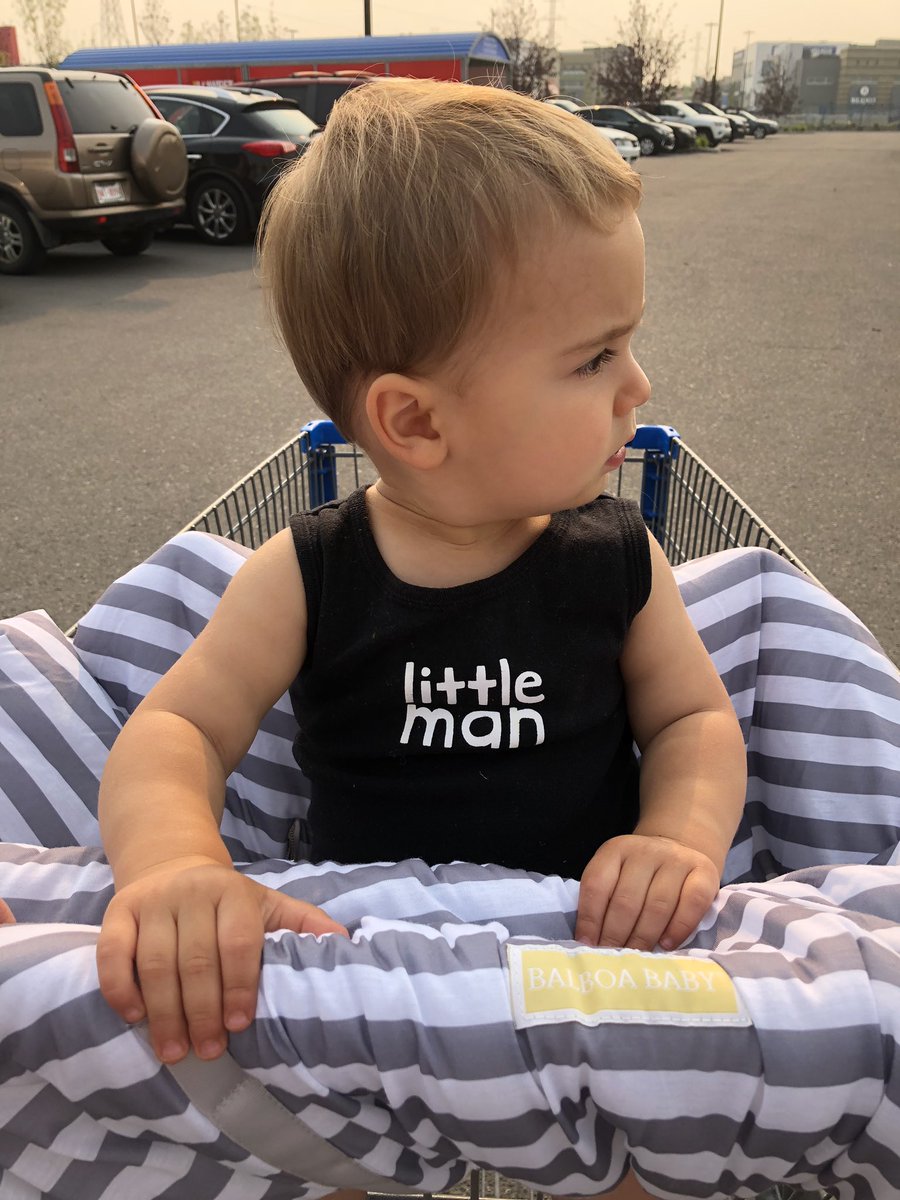 Fine. I’ll be good in <a href="/Target/">Target</a> if you let me honk the horn when we get back to the car, deal?
(📷: @everyvikicmoment via IG)
#target
#shopping
#shoppingcartcover
#balboababy