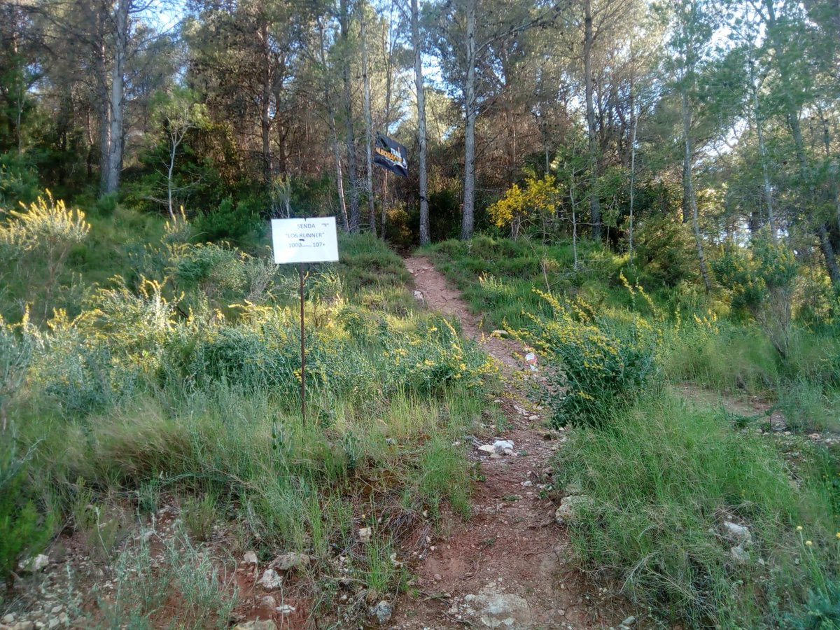 trailalborache's tweet photo. Esto esta listo... ¡Nos vemos el domingo! #LosZorros

PD. Los empanad@s, aún podéis apuntaros el mismo día de la carrera desde las 7:45... 20 euros tienen la culpa 😄 https://t.co/QS1EFQaY2h