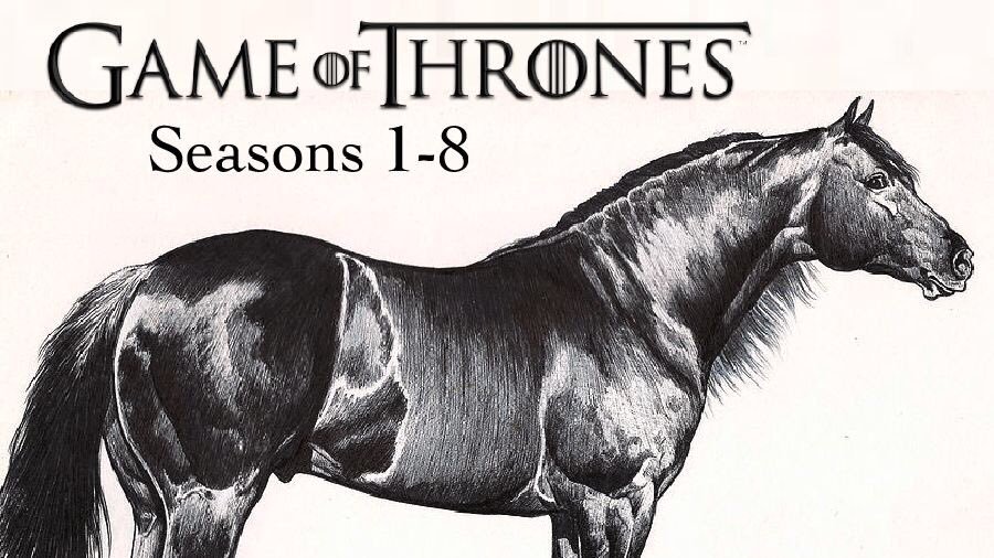 Featured image of post Game Of Thrones Ending Meme Horse Jon snow killing daenerys targaryen after a very compelling lecture from an imprisoned tyrion