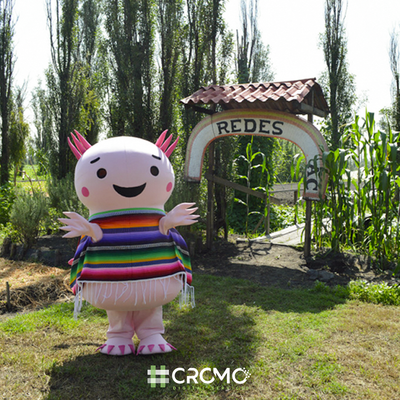 Cromo Digital tweet media