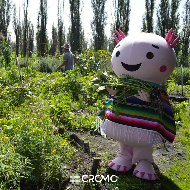 Cromo Digital tweet media