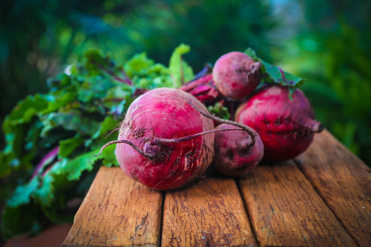 MforHealth's tweet image. Spring is here in the US and it's time to make the most of seasonal produce for optimal health. Are beets plentiful where you are? Give 'em a try -- they can boost nitric oxide and may increase athletic performance.