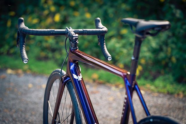 alliedbikes's tweet photo. Our complicated relationship with Harlequin - always complaining that we don’t share their photos often enough.  Yet so beautiful. ——————————————————————————
#ALLIEDcycleworks #cycling #cyclist #cyclinglife #madeinamerica #cyclingphotos #bikelife #roadbike #gravelbike #roadc… https://t.co/mCXsxNS4Fk