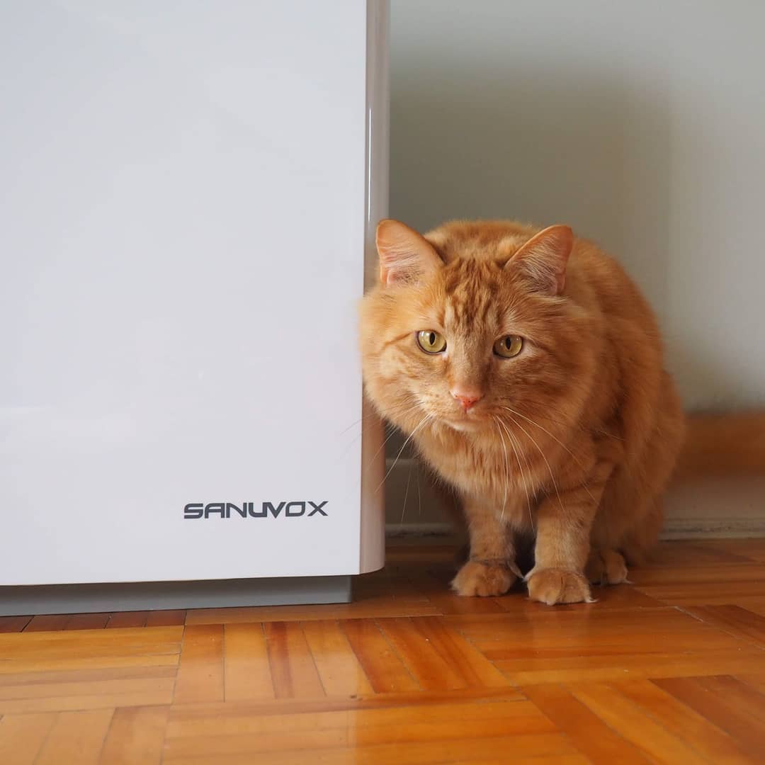 De l'air pur à la maison ❤️
Notre avis sur le purificateur d'air Biopür de Sanuvox.
mamanetcie.com/nos-idees/1121…