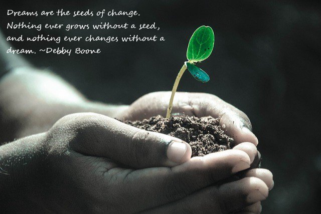 SpiritTribeUS's tweet photo. #dreams #seedsofchange #aspirations https://t.co/nDSzv07dw2