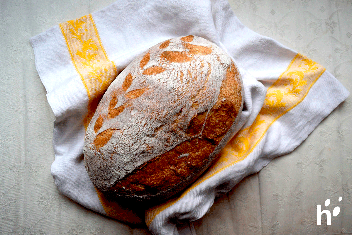 HarinaliaCanary's tweet photo. ¿Siempre tienes dudas a la hora de elegir #pan? 🍞
De #masamadre, de #espelta, artesanal, #integral, de #centeno, #multicereal…. ¡El abanico de opciones es enorme! 😅
No te preocupes, con este artículo aprenderás a diferenciarlos 👉 https://t.co/42i4JFZpZi https://t.co/io4QDlt25S
