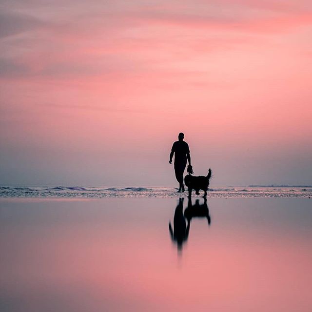 UAL Study Abroad tweet media