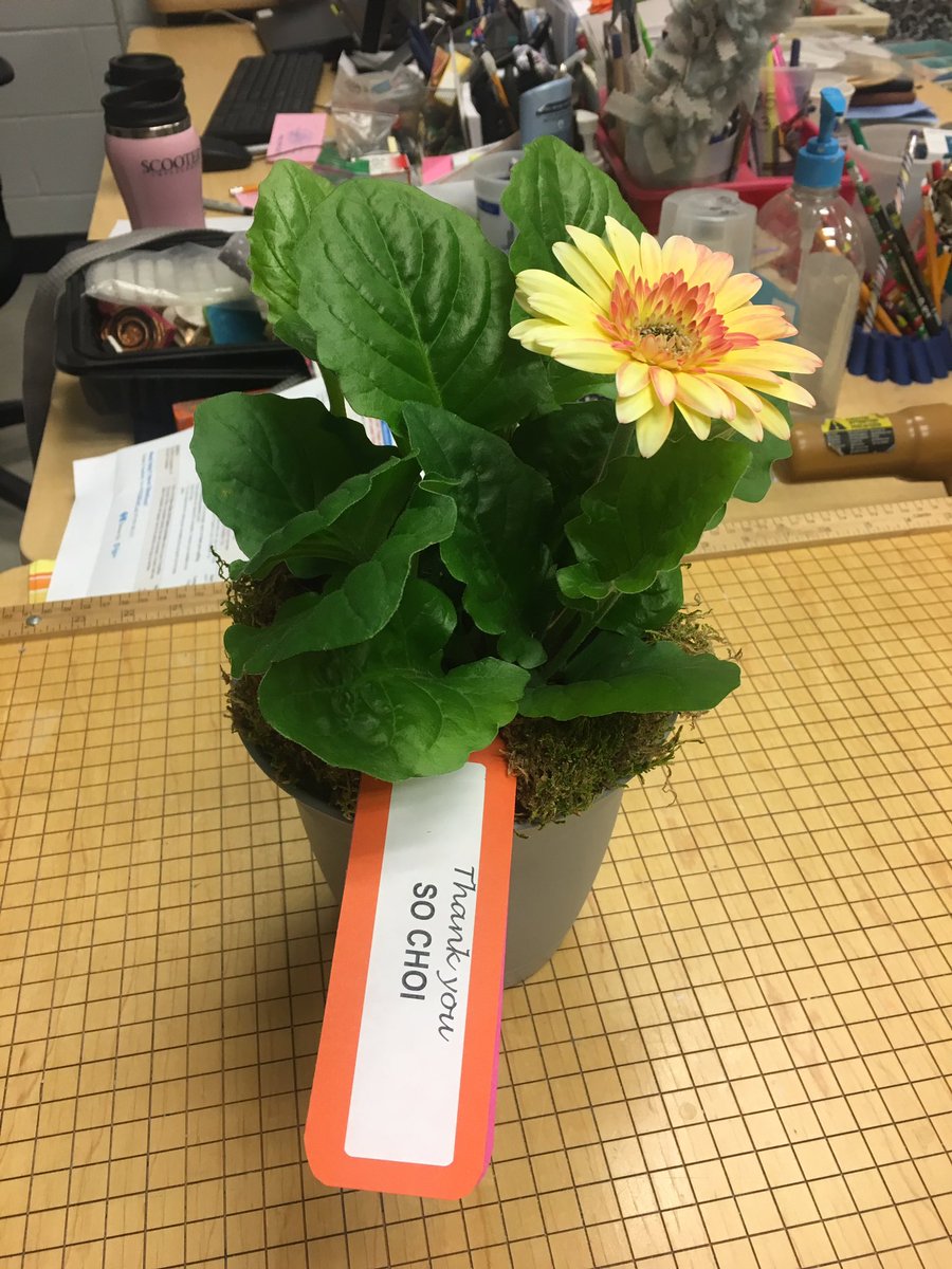 A big Thank You to LMS PTO for making us feel Special this week during Teacher Appreciation Week!   #TeacherAppreciationDay #TeacherAppreciationWeek2019 #SupportiveParents