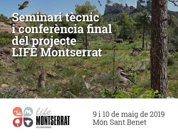 LifeTrito's tweet photo. 📢Avui assistim a la conferència final del @LifeMontserrat
👉Conèixer els projectes propers sempre pot aportar sinergies i col·laboracions
🌲La #GestióForestal és un dels elements clau d'aquest projecte #Life
💪Ens pot aportar idees per aplicar a l'entorn del #LifeTritóMontseny https://t.co/Q8B8sugRJl
