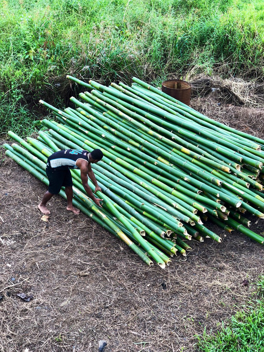 keepfijiclean's tweet photo. Practicing net positive principles by ensuring that @UtoNiYalo spreads business opportunities to community groups where youth entrepreneurs bring in bamboo used to build 100 traditionally designed sailing canoes by Christmas this year #LowCarbonSeaTransport https://t.co/vq1C8vF1NJ