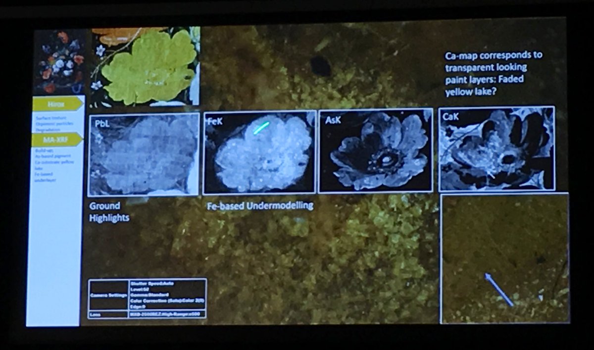 lucianoor_m's tweet photo. Nouchka De Keyser from University of Antwerp showing how MA-XRF (especially As map) has brought back to life the details of a yellow flower in Mignon’s “Still Life with Flowers and a Watch”, which has become very flat and powdery due to photo-degradation of orpiment. #Technart https://t.co/3YGXbUeB9S