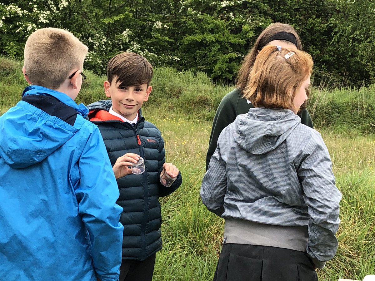 ScienceKJAR's tweet photo. Year 6 exploring bugs life on the Millennium field. https://t.co/zYkRlpdXjo
