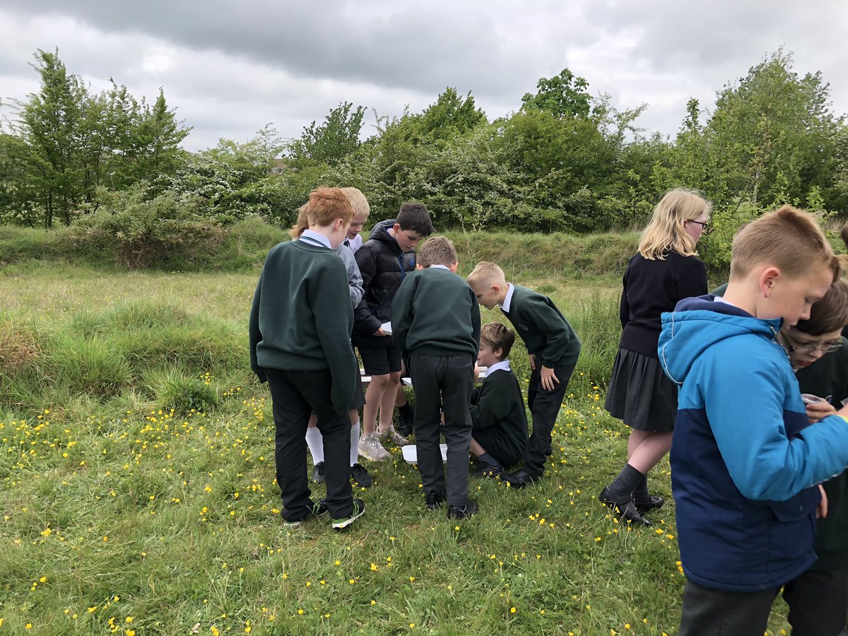 ScienceKJAR's tweet photo. Year 6 exploring bugs life on the Millennium field. https://t.co/zYkRlpdXjo