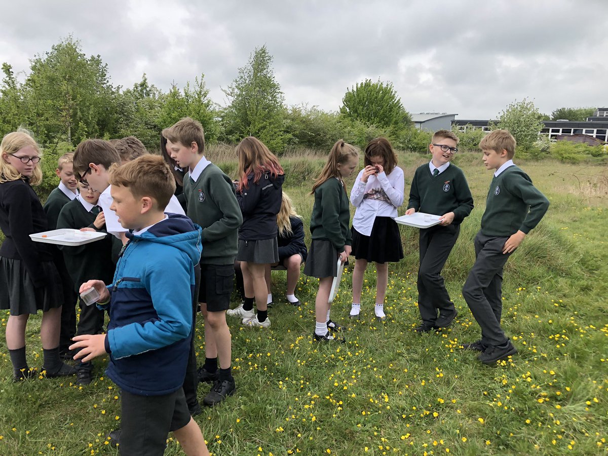 ScienceKJAR's tweet photo. Year 6 exploring bugs life on the Millennium field. https://t.co/zYkRlpdXjo