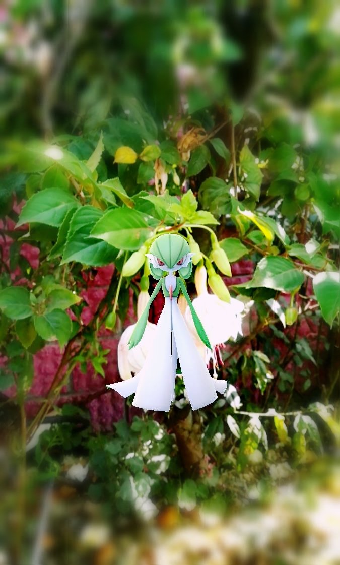 MrT4k0's tweet photo. Gardevoir
#GOsnapshot
#PokemonGO https://t.co/KJDpqT3eO9