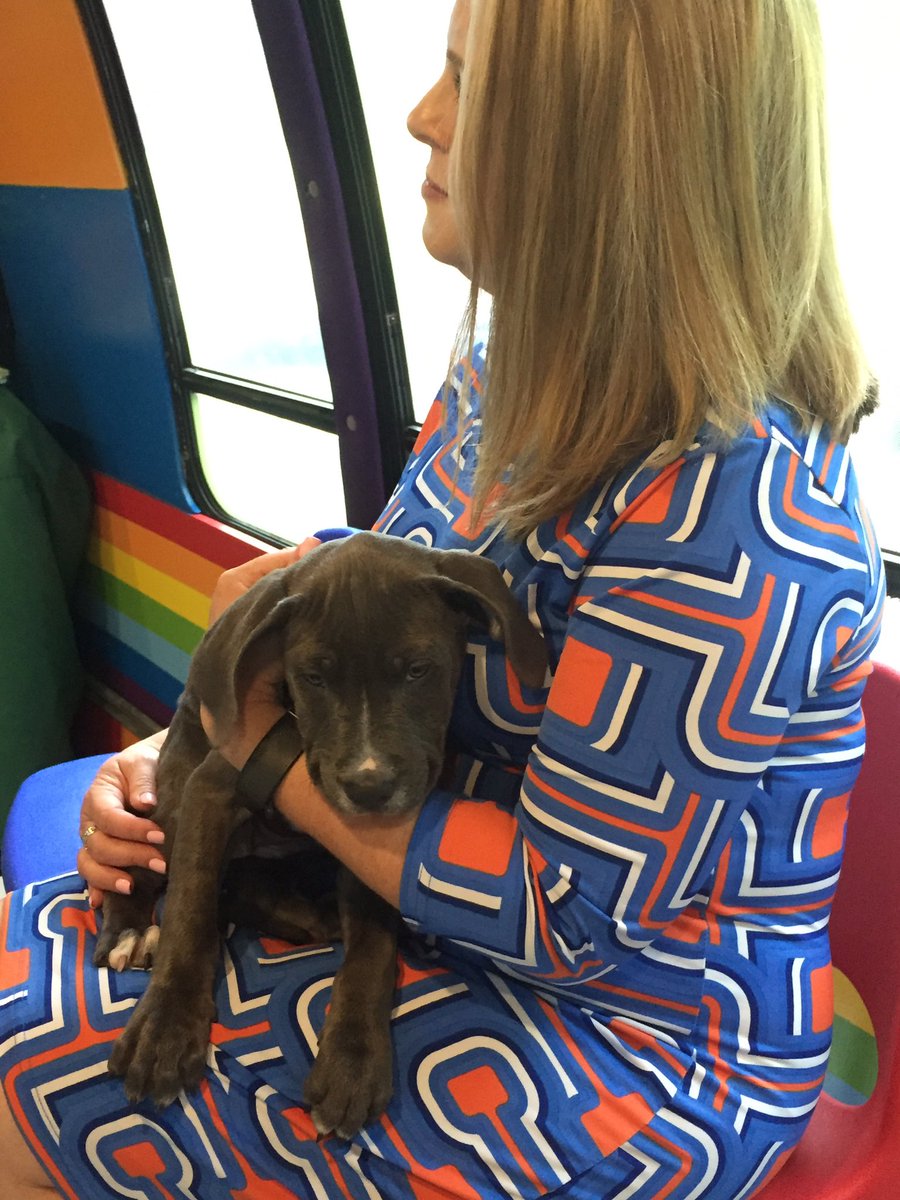 MarionCountyK12's tweet photo. Our school board members delivered hugs &amp; love to the puppies &amp; kittens on the @HumaneMarion #BarkBus this morning. Our elem students do the same every day the #BarkBus is on their campus. #WeareMCPS #CelebrateMCPS https://t.co/L1YKspam46