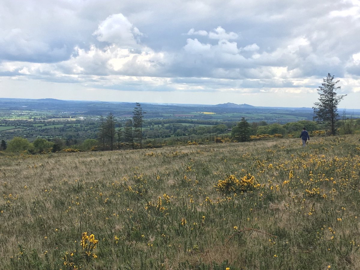 maher_steph's tweet photo. Some of our ⁦@FarmEcos⁩ sites are pretty special https://t.co/qwdBguSgAk