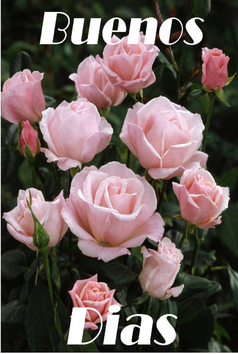 <a href="/LandaezCarina/">Landaez Carina</a> Feliz jueves !