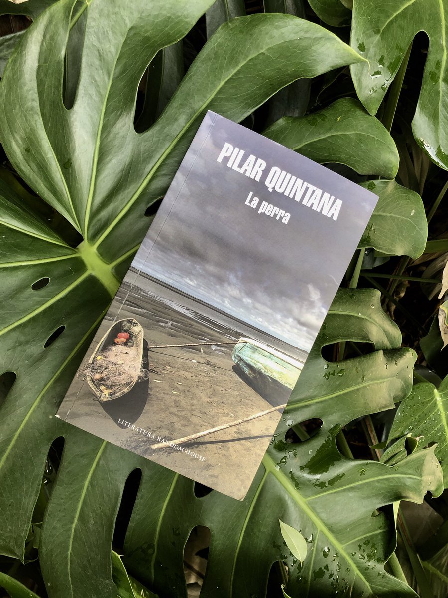 “La perra: viaje al corazón de la mujer infértil” mi reseña del libro de <a href="/pili_quintana/">Pilar Quintana</a> suburbano.net/la-perra-de-pi… <a href="/diana_pardo/">Diana Pardo</a> <a href="/OdetteAlonso/">Odette Alonso</a> <a href="/odettecasamayor/">Dr. Odette Casamayor-Cisneros</a> @lasanalfabetas @YosieCrespo <a href="/KarinaMatheus/">Karina Matheus</a> <a href="/eslindacifuente/">rosie inguanzo</a> @ivetorr <a href="/beabosio/">beabosio</a> <a href="/MarthaIDaza/">Martha Daza</a> <a href="/alejandraf620/">Alejandra Ferrazza</a>