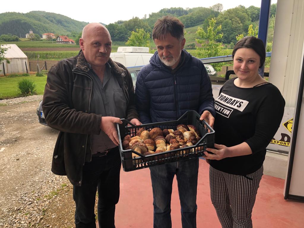 Banken Champignons tweet media