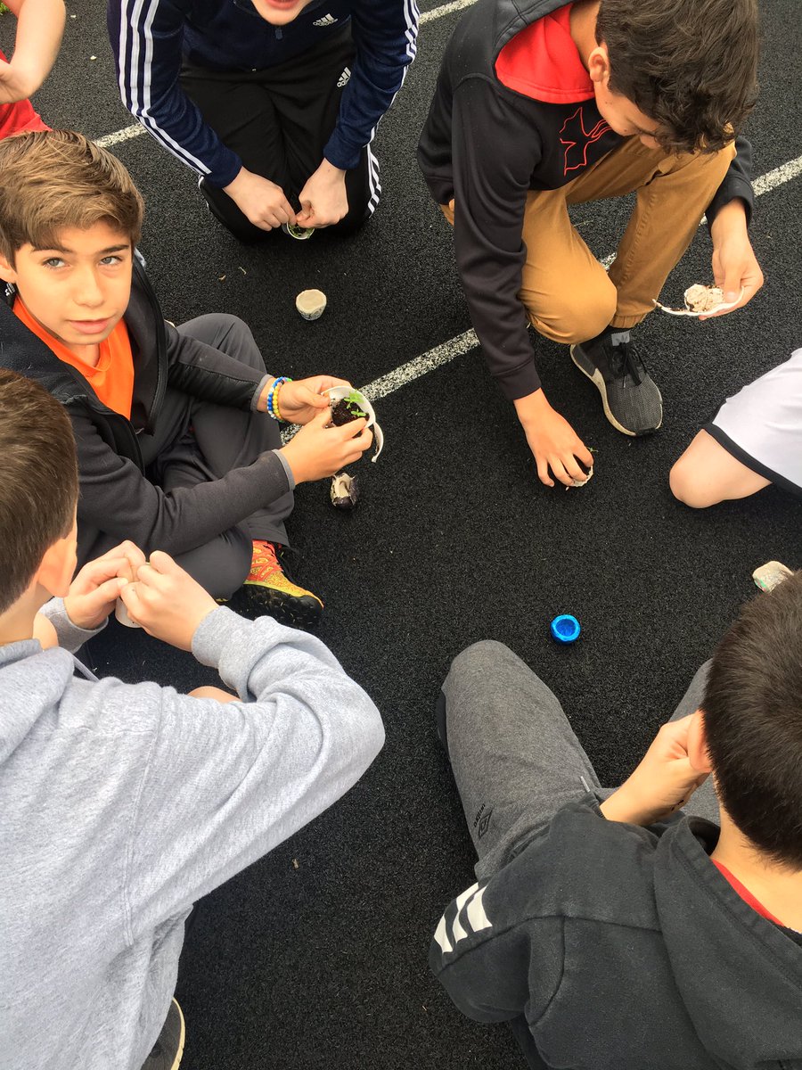 MarinkoAmanda's tweet photo. Planting our marigolds in our handmade planters ☺️ #advisory #creativity #alag @BPS101 @rotoloms #Thatsrotolo https://t.co/LiQQoLllsX