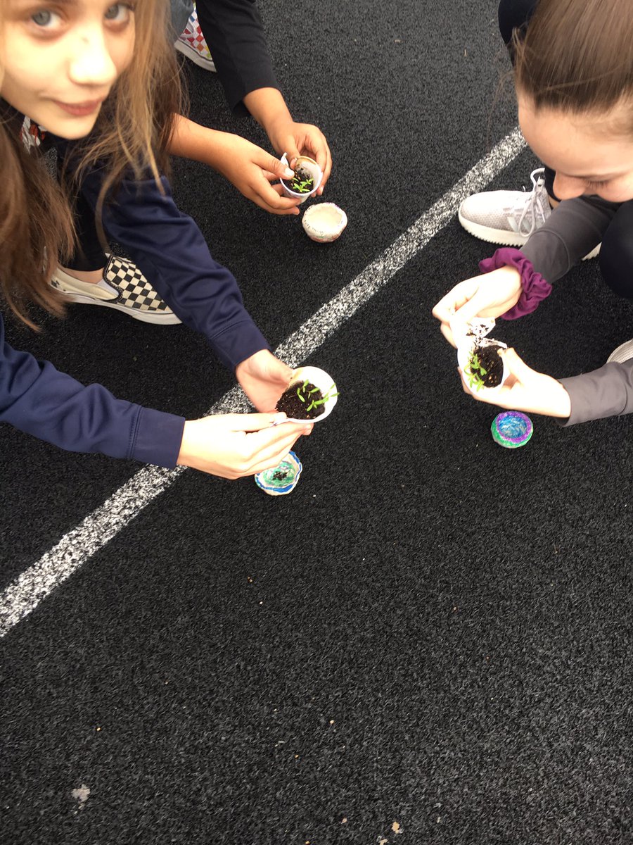 MarinkoAmanda's tweet photo. Planting our marigolds in our handmade planters ☺️ #advisory #creativity #alag @BPS101 @rotoloms #Thatsrotolo https://t.co/LiQQoLllsX