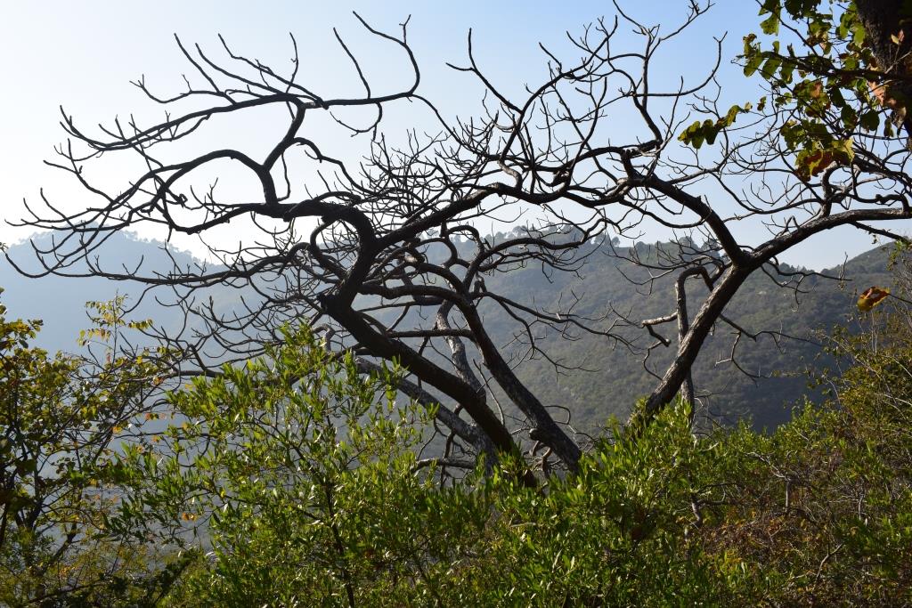 kamranisbest's tweet image. Not green yet felt beautiful! #Islamabad #Pakistan #MovingFansForward #BlessingsOfRamadan